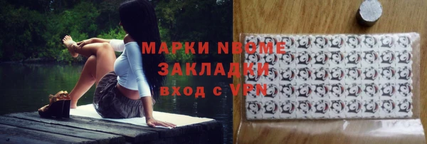 хмурый Каменка
