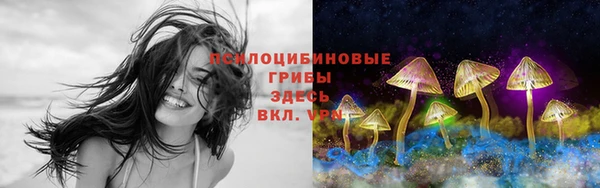 соль ск Касимов