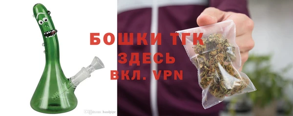 соль ск Касимов