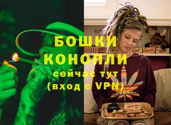 соль ск Касимов