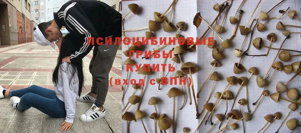 бошки Карталы