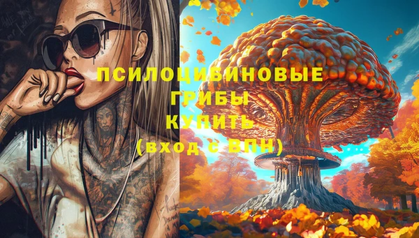 хмурый Каменка