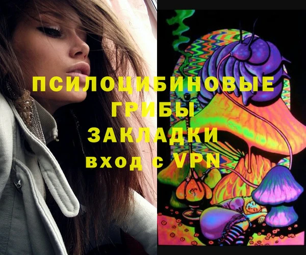 хмурый Каменка