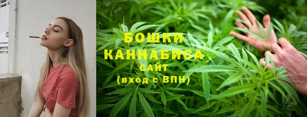 хмурый Каменка