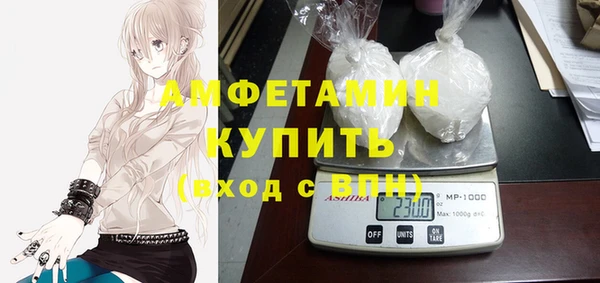 сатива Каменногорск