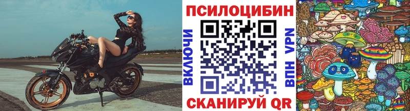 blacksprut ONION Кизел нарко площадка официальный сайт даркнет сайт Псилоцибиновые грибы Cubensis